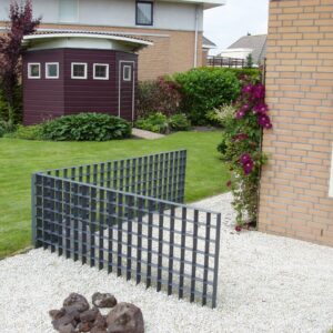 Rooster in tuin